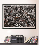 Clementoni 1000 kpl CB High Quality Collection National Geographics Seeproja Clementoni 1000 kpl CB High Quality Collection National Geographics Seeproja