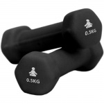 Fitpaddy Premium Dumbbells 2 x 0.5 kg