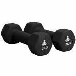 Fitpaddy Premium Dumbbells 2 x 2 kg