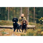 Lildog 2 GPS-Tracker för Hundar