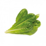 Click & Grow- Smart Garden 3-pack - Romaine-salaatti (SGR50X3)