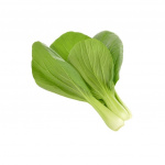Click & Grow - Smart Garden 3-pack - Pak choi (SGR58X3) (SGR58X3)