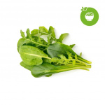 Click & Grow - Smart Garden 9-pack Green Sallad Mix - Täydennyspakkaukset