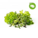 Click & Grow - Smart Garden - 9-pack Grill & Steak Mix -täydennyspakkaus, 9 kpl