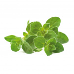 Click & Grow - Smart Garden 3-pack Oregano (Oregano)