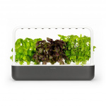 Click & Grow - Smart Garden 9 aloituspakkaus (väri: tummanharmaa) (SG9S8UNI)