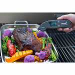 Mustang Digital Thermometer Foldable