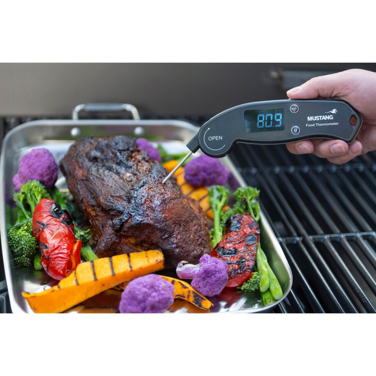 Mustang Digital Thermometer Foldable