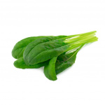 Click & Grow Smart Garden 3-pack Mibunan täydennyspakkaus Mibuna