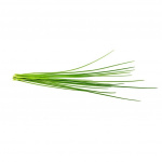 Click & Grow Smart Garden 3-pack - Ruohosipuli (SGR38X3) Click & Grow Smart Garden 3-pack - Ruohosipuli (SGR38X3)