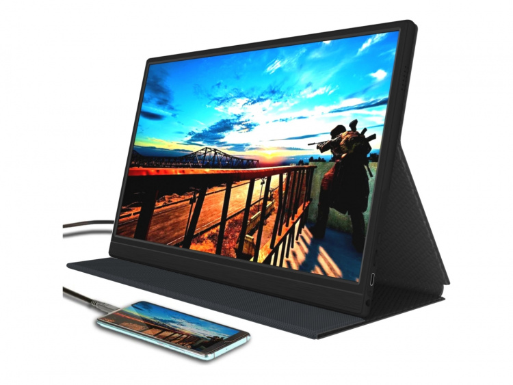 Denver PMO-15601 15.6 1920 x 1080 (Full HD) Mini HDMI USB-C