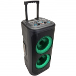 AIWA Party-högtalare med mikrofon