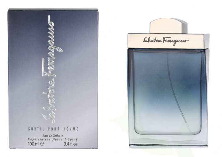 Ferragamo Subtil Pour Homme Edt Spray 100 ml