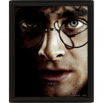 Pyramid International HARRY POTTER (HARRY VS VOLDEMORT) - KEHYSTETTY