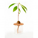 Kikkerland Terrakotta - siemenkylvökoneet (CD535)