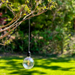 LightsOn Penny Pendellampa Gravity + DecoBulb XL Varmvit