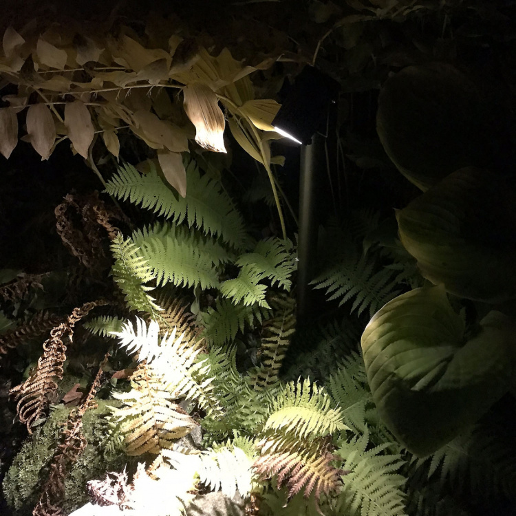 LightsOn Luna 65 Pollare/Trädgårdsspot 350 lm 5W 35° Grå