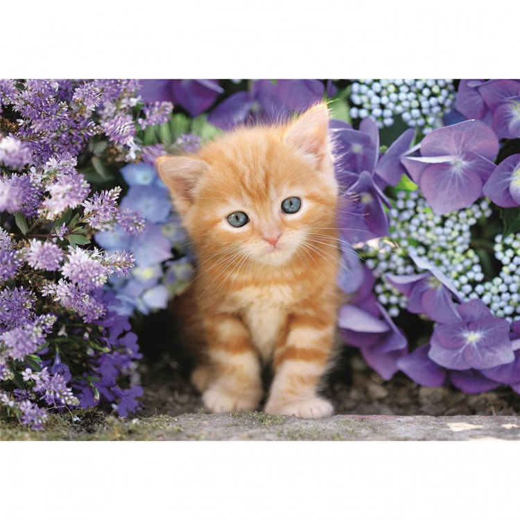 Clementoni Palapeli 500 Pcs CB High Quality Collection Ginger Cat Clementoni Palapeli 500 Pcs CB High Quality Collection Ginger Cat