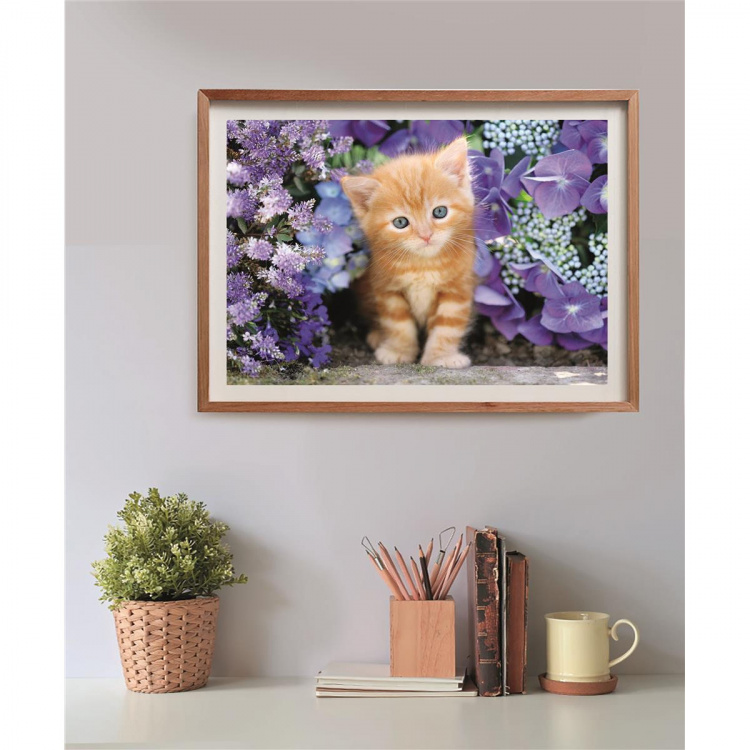 Clementoni Palapeli 500 Pcs CB High Quality Collection Ginger Cat Clementoni Palapeli 500 Pcs CB High Quality Collection Ginger Cat