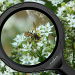 Nedis Kädessä pidettävät suurennuslasit | Linssin voimakkuus: 4 Diopter | 10000 K | 0.05 W | 9 lm | Musta