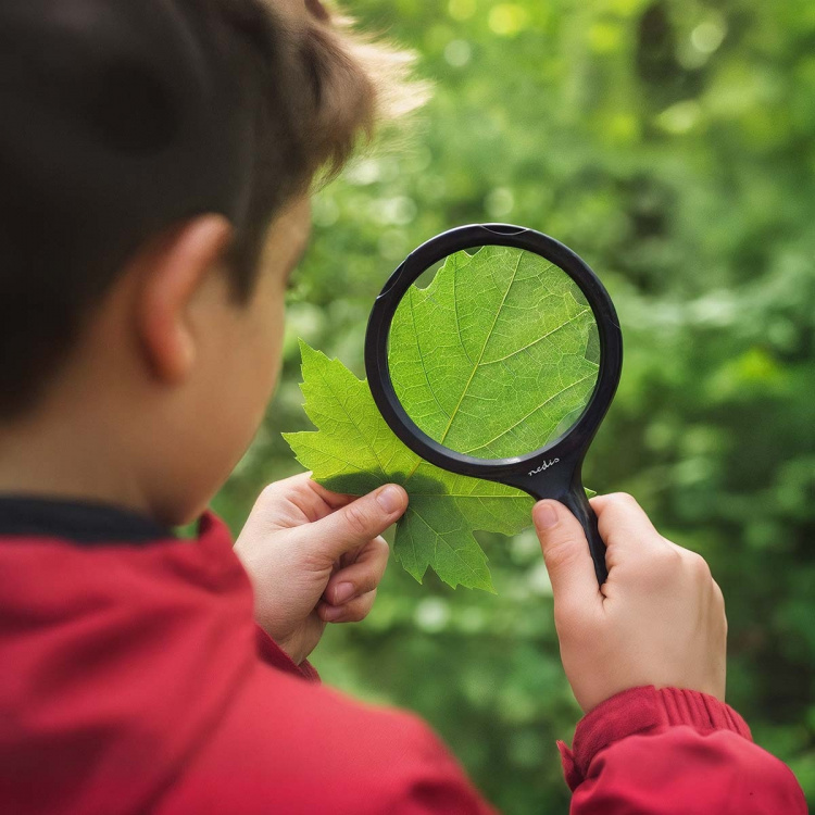 Nedis Kädessä pidettävät suurennuslasit | Linssin voimakkuus: 4 Diopter | 10000 K | 0.05 W | 9 lm | Musta