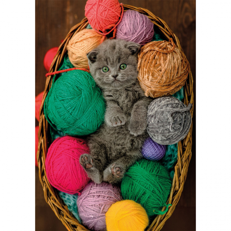 Clementoni Palapeli 500 Pcs CB High Quality Collection Fluffy Kitten