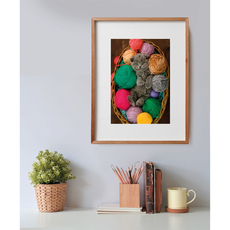 Clementoni Palapeli 500 Pcs CB High Quality Collection Fluffy Kitten