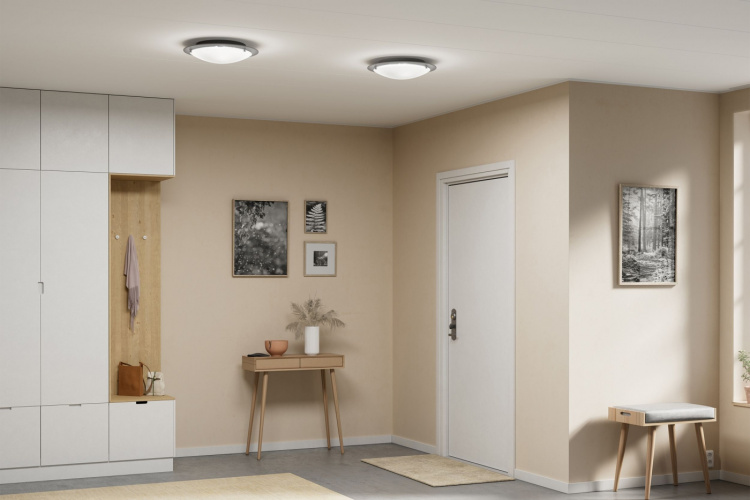 Belid Plafond Cirklo Ø30 betongstruktur Belid